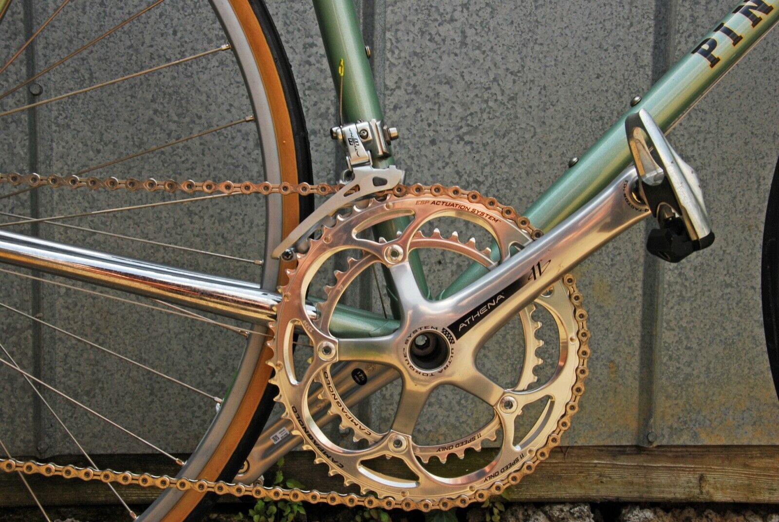 Pinarello Gavia Retro-Modern Campagnolo 11 Speed 57cm - Fresh Stock Dated December 2025