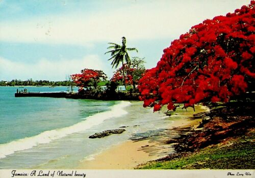 JAMAICA LAND OF NATURAL BOUNTY PPC W/ 45c LIGHTWEIGHT CHAMPIONSHIP TO GERMANY - Fresh Stock Dated February 2026