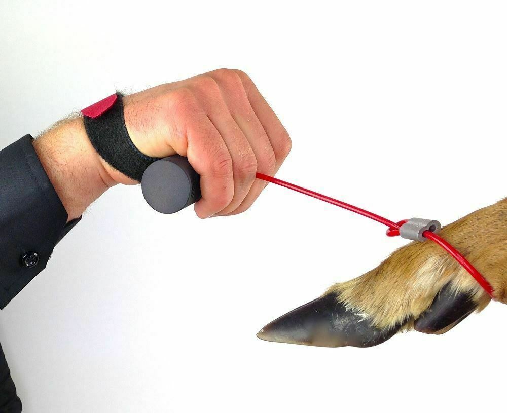 Buck Cuffs Orange Hunting Season Deer Drag Outdoors Easy Grip Hooves - Fresh Stock Dated February 2026