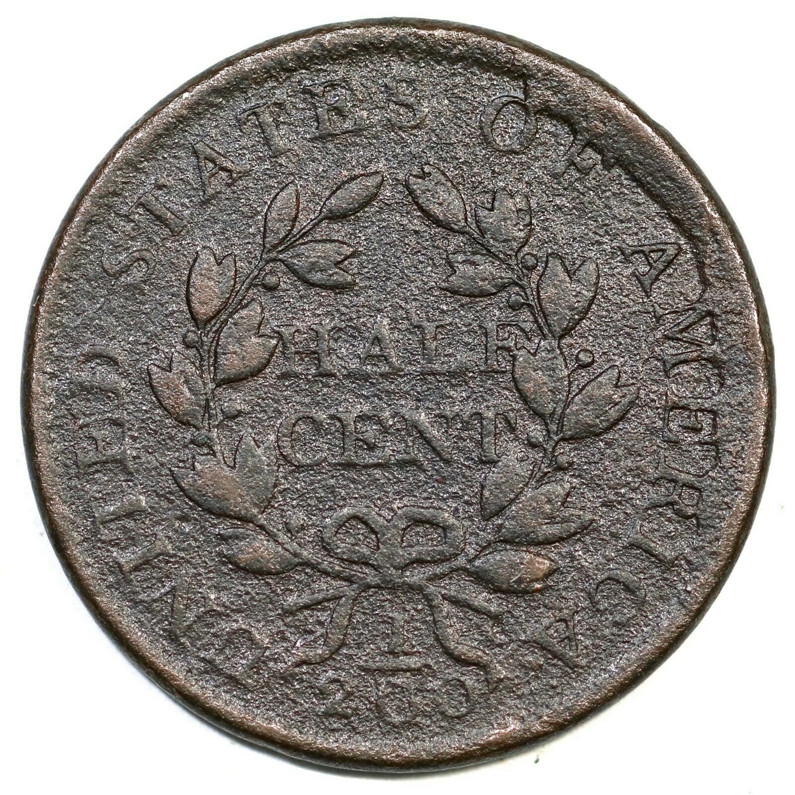 1804 C-7 R-4 Draped Bust Half Cent Coin 1/2c - Fresh Stock Dated February 2026