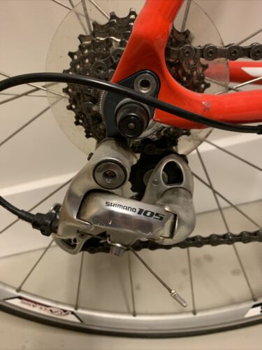 Specialized Allez Elite Road Bike 56cm - Fresh Stock Dated February 2026