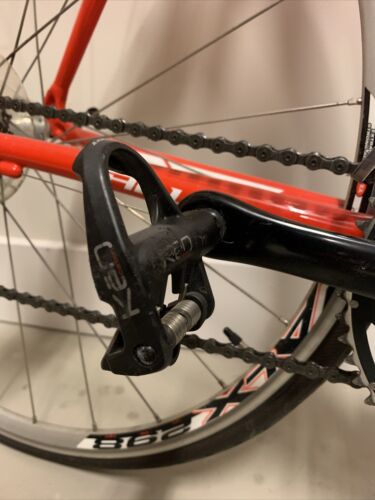 Specialized Allez Elite Road Bike 56cm - Fresh Stock Dated February 2026