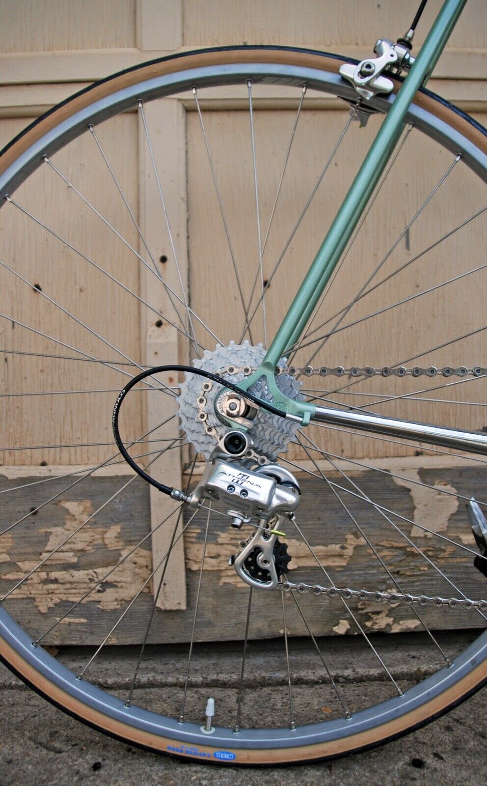 Pinarello Gavia Retro-Modern Campagnolo 11 Speed 57cm - Fresh Stock Dated December 2025