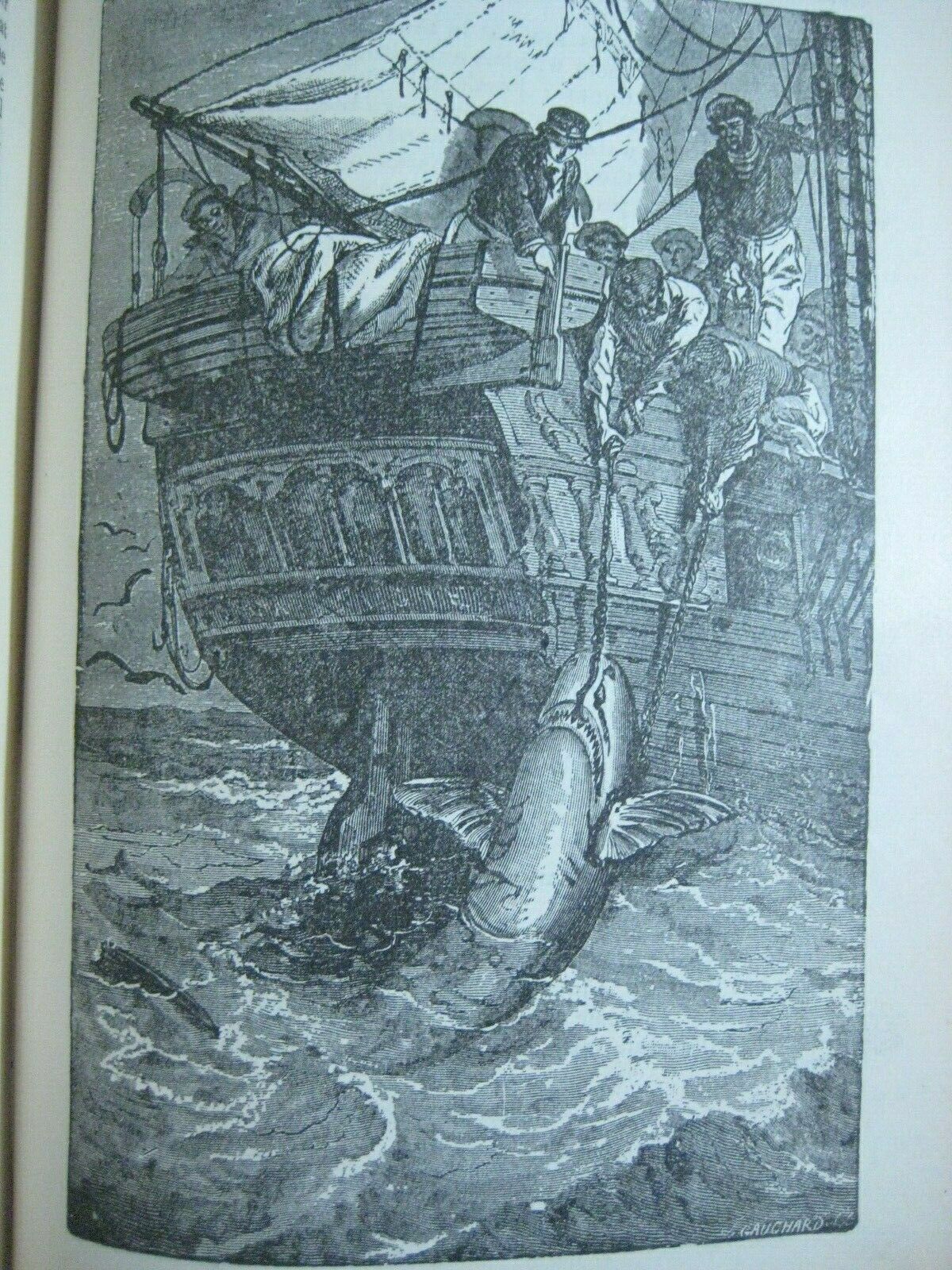 RARE ANTIQUE BOOK 🌟 WORLD of WILD ANIMALS_BEASTS_BIRDS_REPTILE_FISH +_SOLD 0 - Fresh Stock Dated December 2025