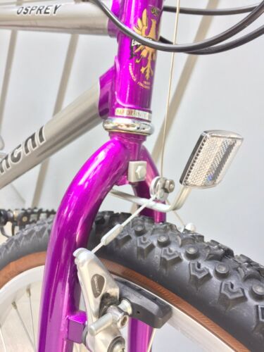 Vintage Bianchi Osprey 21 Speed Mountain/Utility Bike 17.5” Frame *Lightly Used! - Fresh Stock Dated February 2026