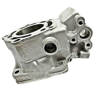 Plated OEM Aprilia RS 250 Cylinder 1995-2004 AP8600010 STD Bore RS250 4C3N4 - Fresh Stock Dated February 2026