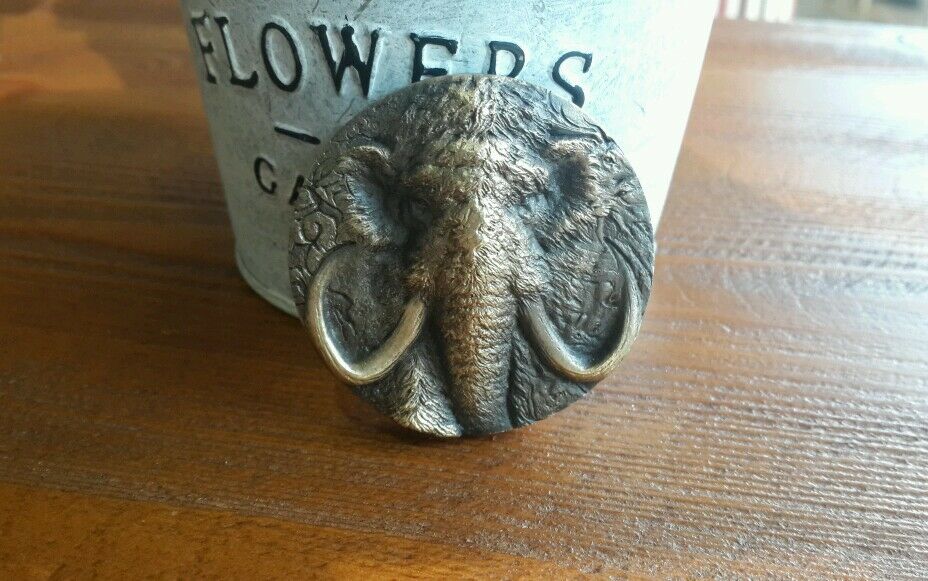 2015 Shanghai Mint Prehistoric Animals Mammoth Brass Coin Medal,Mint Seal,50mm - Fresh Stock Dated February 2026