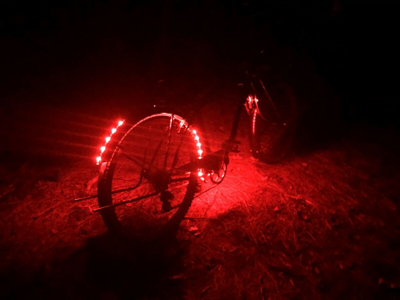 26” Schwinn Clairmont 7 Speed custom lowrider bicycle - Fresh Stock Dated February 2026