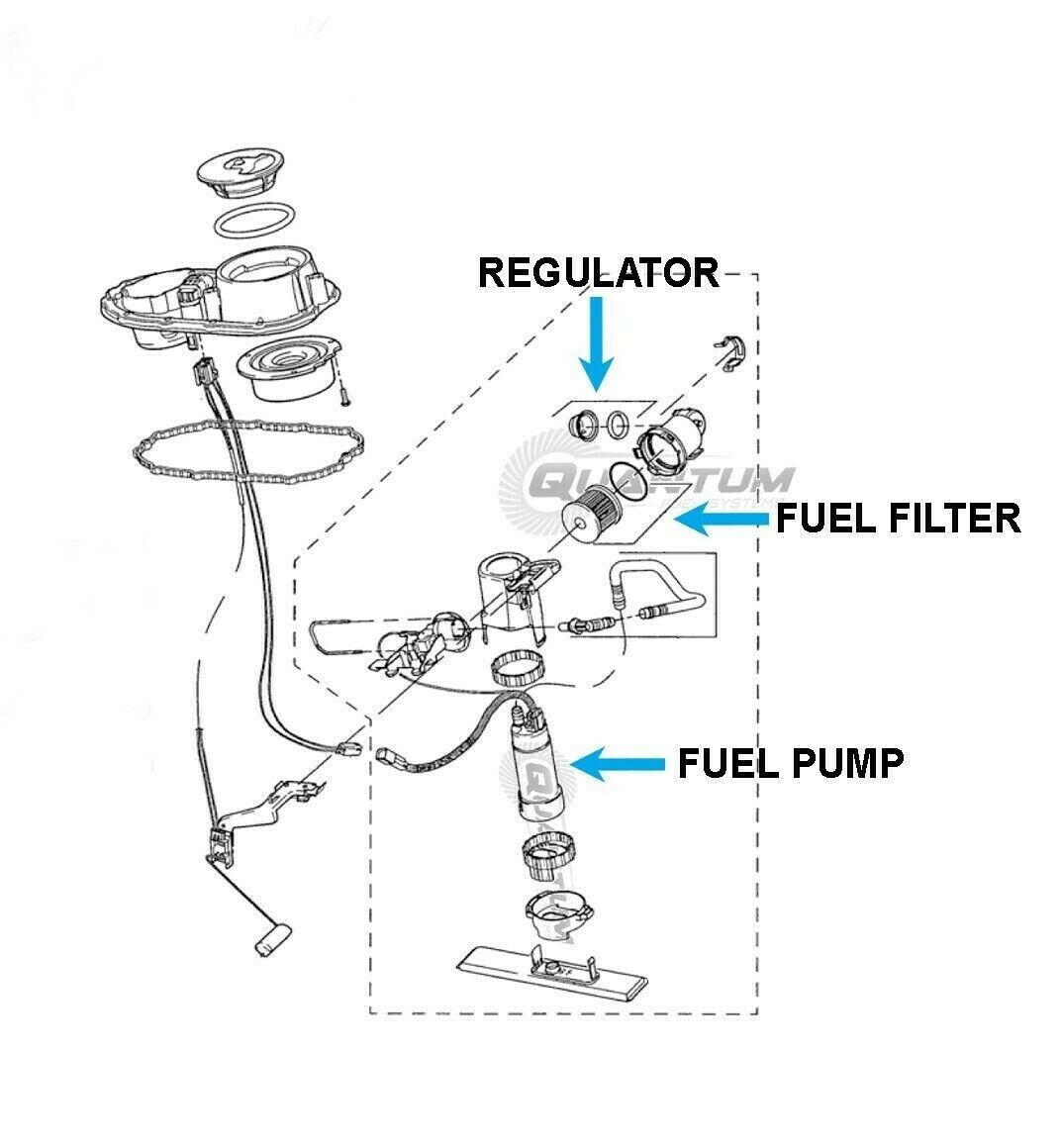 Quantum Fuel Pump +Filter Kit +Gasket for 2004-19 Harley-Davidson Dyna 61016-04B - Fresh Stock Dated February 2026