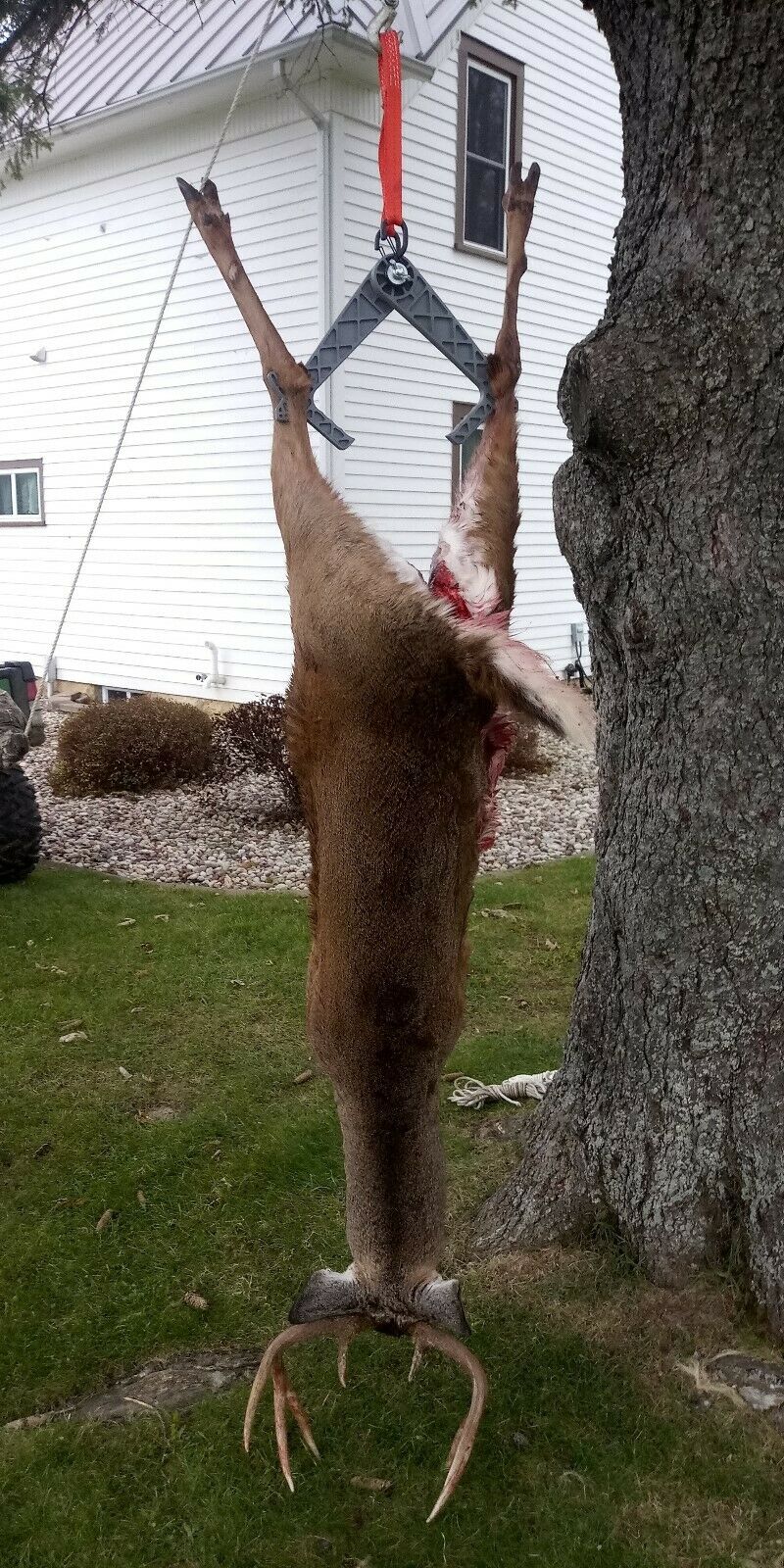 Carcass Buddy, Spread'em, Drag'em, Hang'em  Helps gut, drag and hang deer, pig. - Fresh Stock Dated December 2025