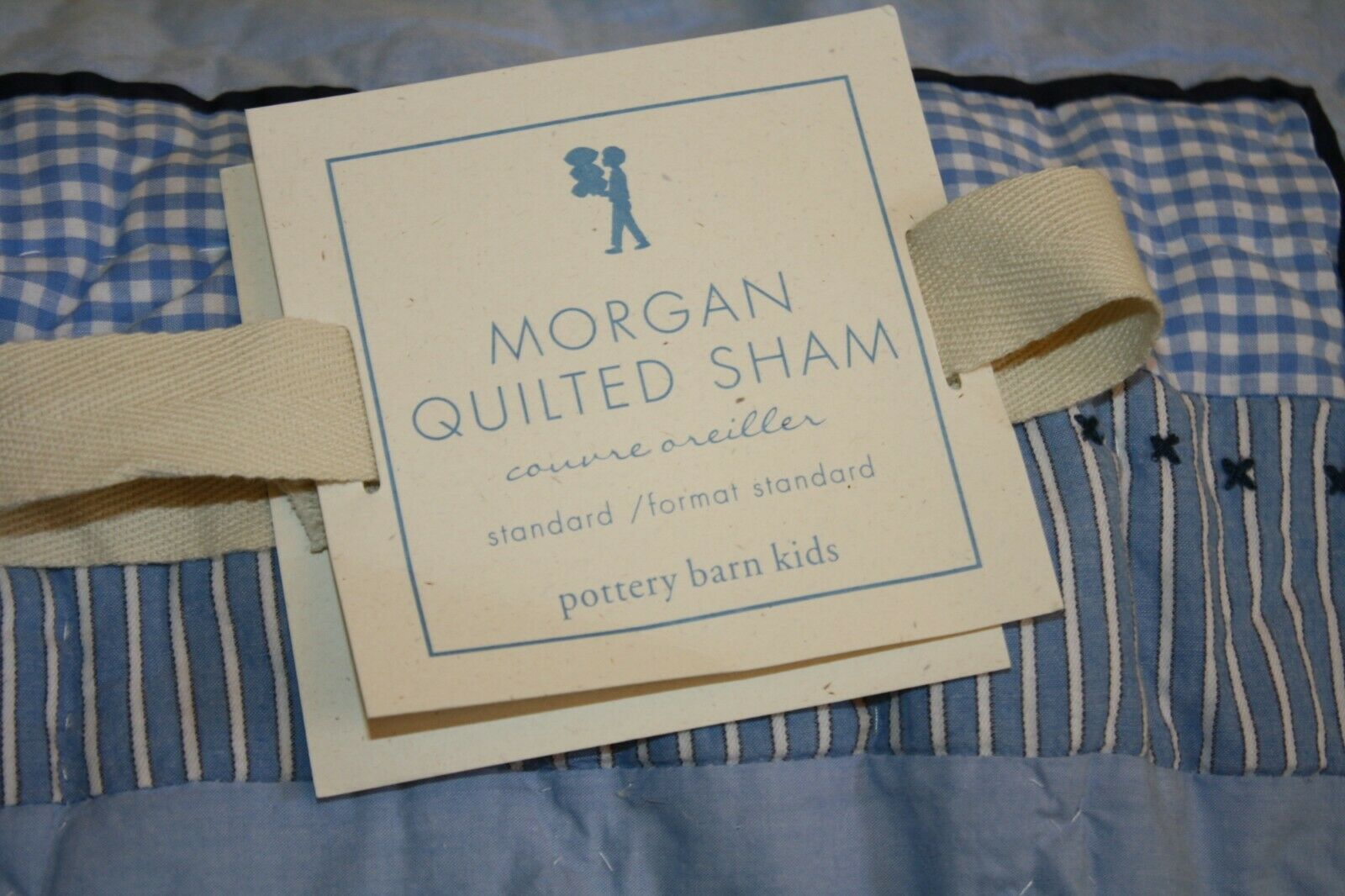 Pottery Barn Kids MORGAN Set of 2 standard pillow shams blue gingham Frog Books - Fresh Stock Dated December 2025