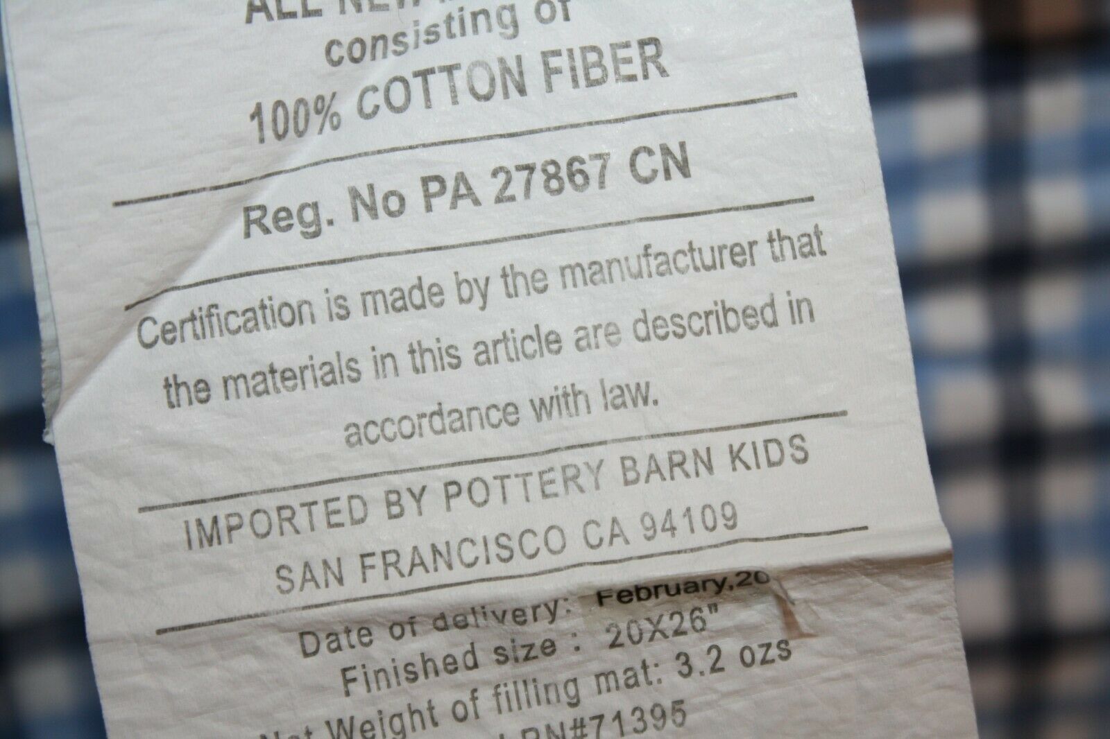 Pottery Barn Kids MORGAN Set of 2 standard pillow shams blue gingham Frog Books - Fresh Stock Dated December 2025