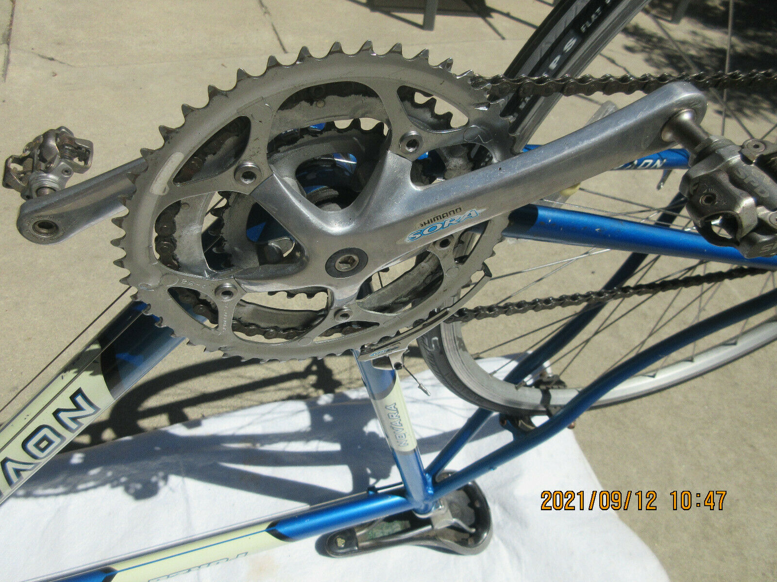 FORZA NOVARA ADULT BIKE 24 SPEED EXCELLENT CONDITION - Fresh Stock Dated February 2026