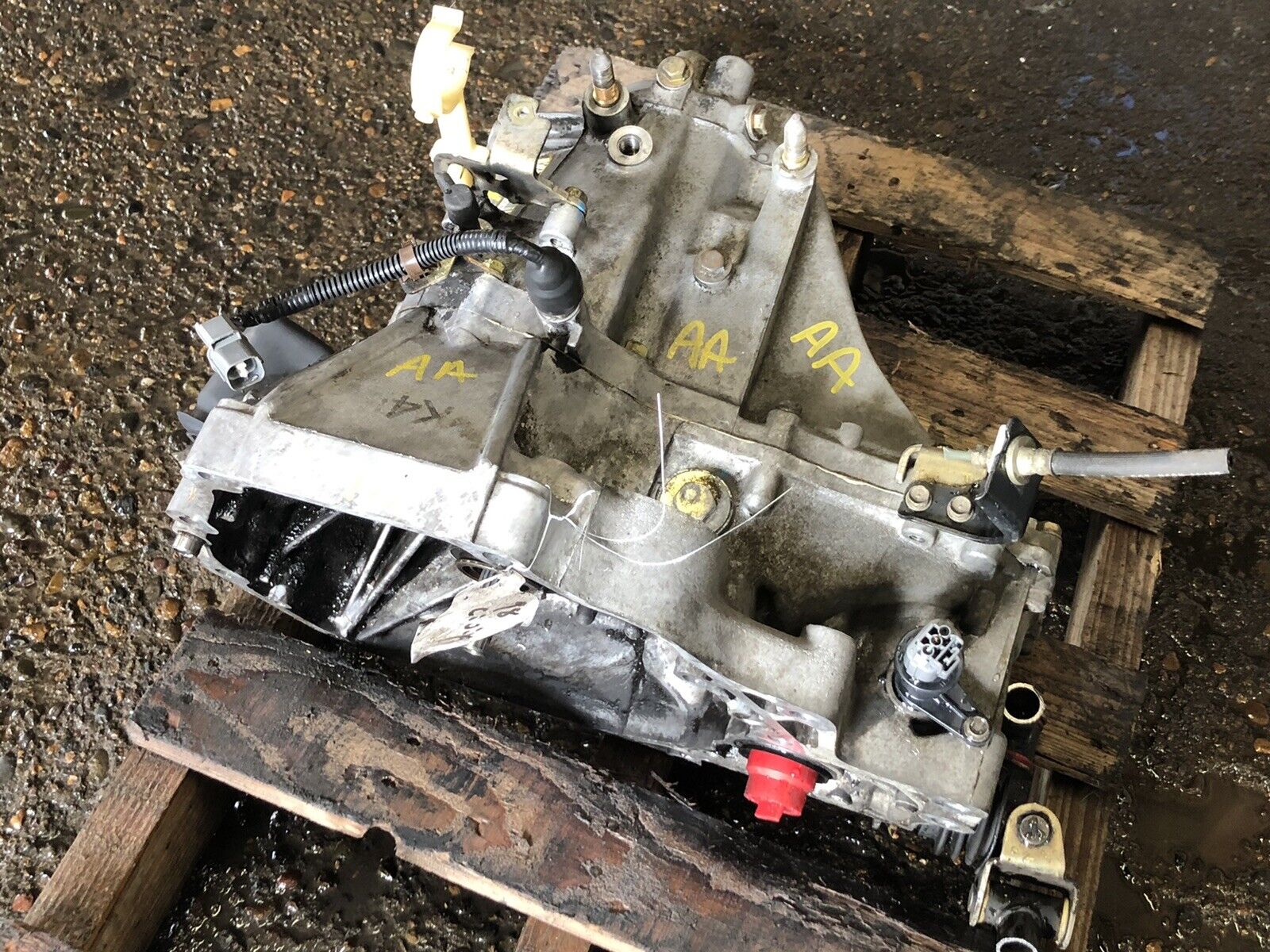 1996-2000 Honda Civic EX SOHC VTEC 5 Speed Manual Transmission Transaxle 173k - Fresh Stock Dated February 2026