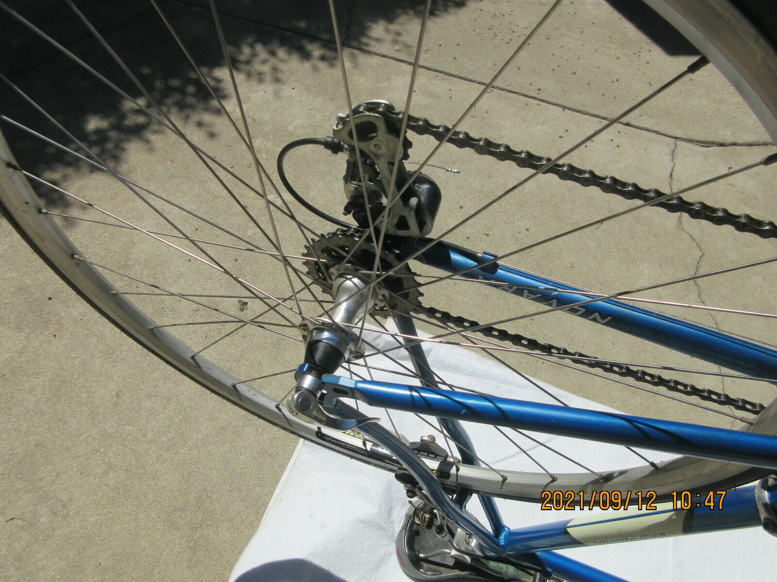 FORZA NOVARA ADULT BIKE 24 SPEED EXCELLENT CONDITION - Fresh Stock Dated February 2026