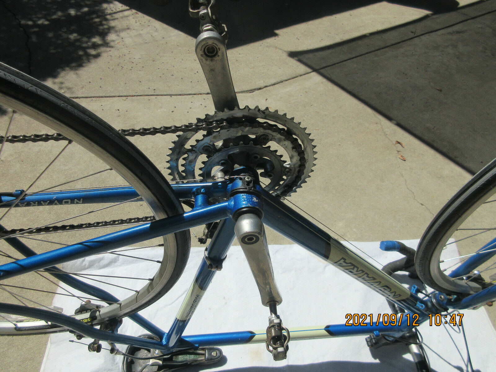 FORZA NOVARA ADULT BIKE 24 SPEED EXCELLENT CONDITION - Fresh Stock Dated February 2026