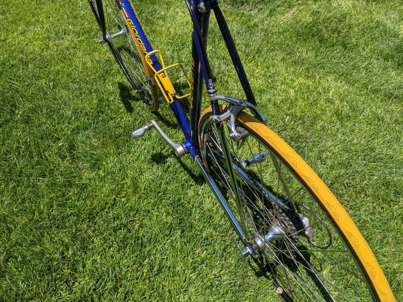 Giordana 58cm Road Bike — Columbus Steel — Full Campagnolo — Excellent Condition - Fresh Stock Dated December 2025