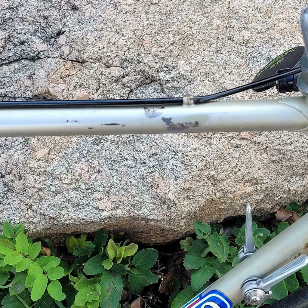 Early model Vintage Benotto 58 cm Road Bike ! - Fresh Stock Dated February 2026