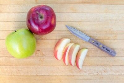 2 PACK Old Hickory Paring Knife 3 ¼