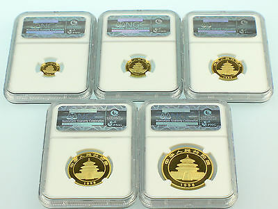 1998 China Large Date Gold Panda 5 Coins Set NGC - Fresh Stock Dated February 2026