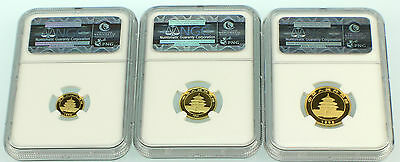1998 China Large Date Gold Panda 5 Coins Set NGC - Fresh Stock Dated February 2026