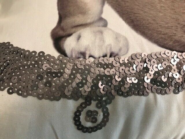 Pottery Barn Teen Party Dogs Pillow Cover White French Bulldog  12