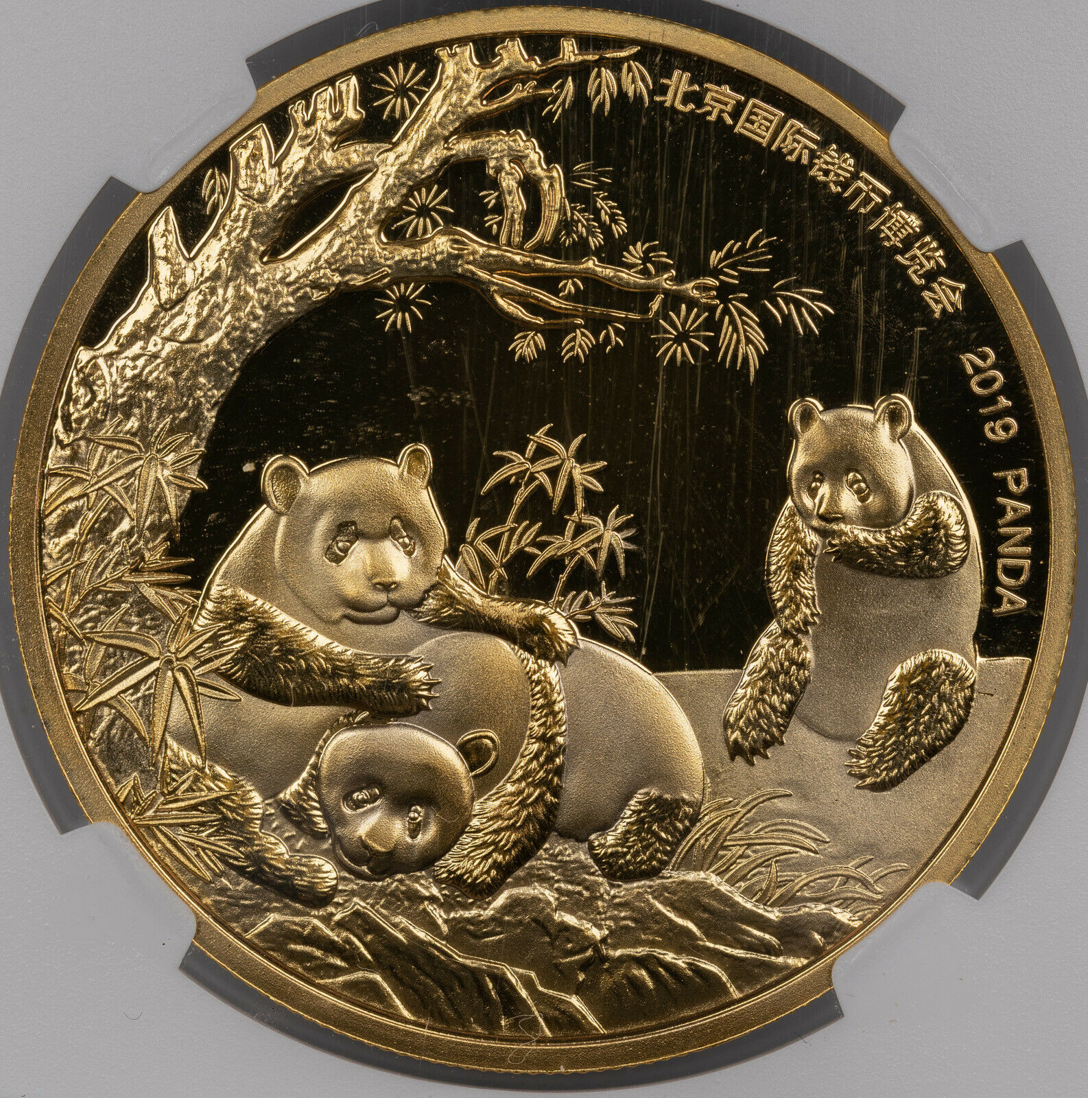 2019 GILT CHINA 40mm COPPER PANDA-BICE NGC PF70 ULTRA CAM FINEST KNOWN WORLWIDE> - Fresh Stock Dated February 2026
