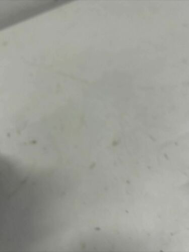 Pottery Barn Kids Rainbow Pom Pom Duvet Cover, Standard Sham, Pink NEW - Fresh Stock Dated December 2025