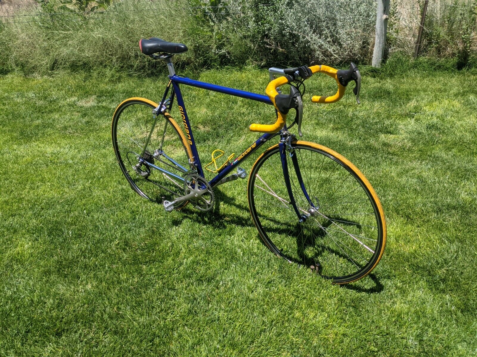 Giordana 58cm Road Bike — Columbus Steel — Full Campagnolo — Excellent Condition - Fresh Stock Dated December 2025