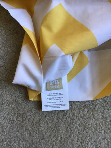 Pottery Barn Teen gold Cheveron standard pillow case - Fresh Stock Dated December 2025