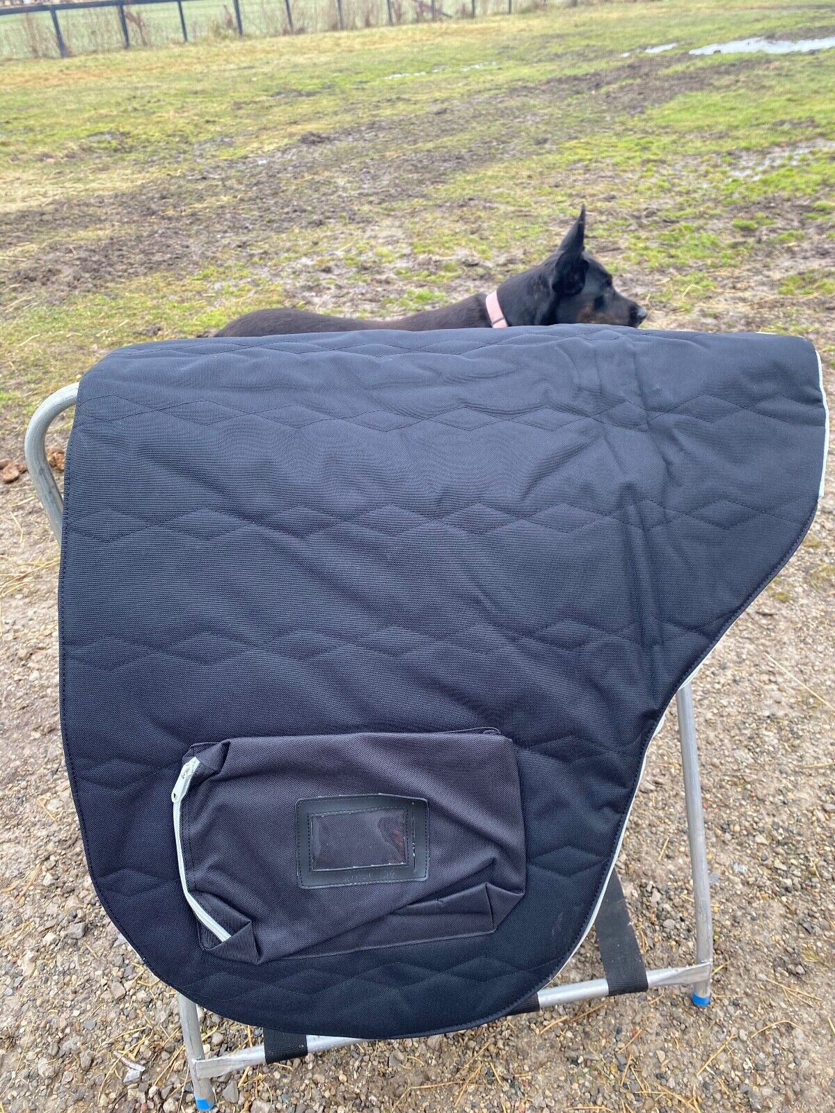 Black Bates/ Wintec Isabell limited edition Icon English saddle bag / carrier - Fresh Stock Dated December 2025