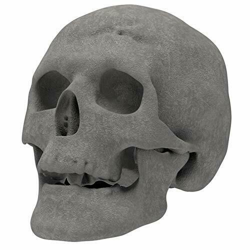 Regal Flame Human Skull Ceramic Wood Large Gas Fireplace Logs Logs for All Ty... - Fresh Stock Dated December 2025