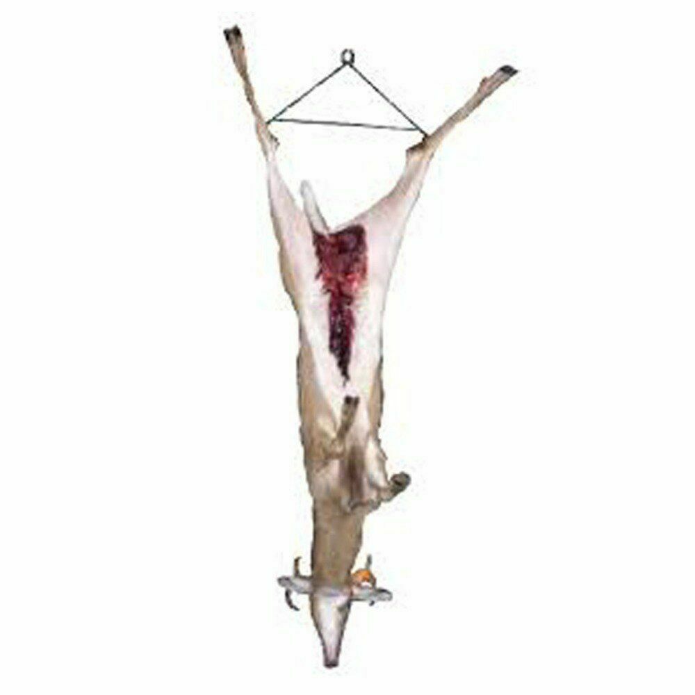 Deer Hoist Tree Gambrel Hanging Pulley Rope Game Lift System Hunting Accessories - Fresh Stock Dated February 2026
