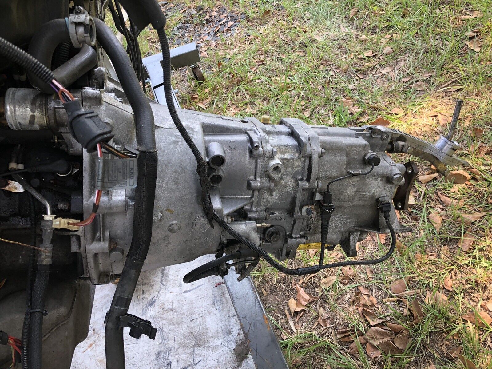 🔥2001-2006 BMW E46 M3 S54 6-speed manual Transmission Gear Box (Pickup ONLY) - Fresh Stock Dated February 2026