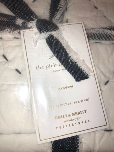 Pottery Barn Emily & Meritt Pick Stitch Sham - Size 26