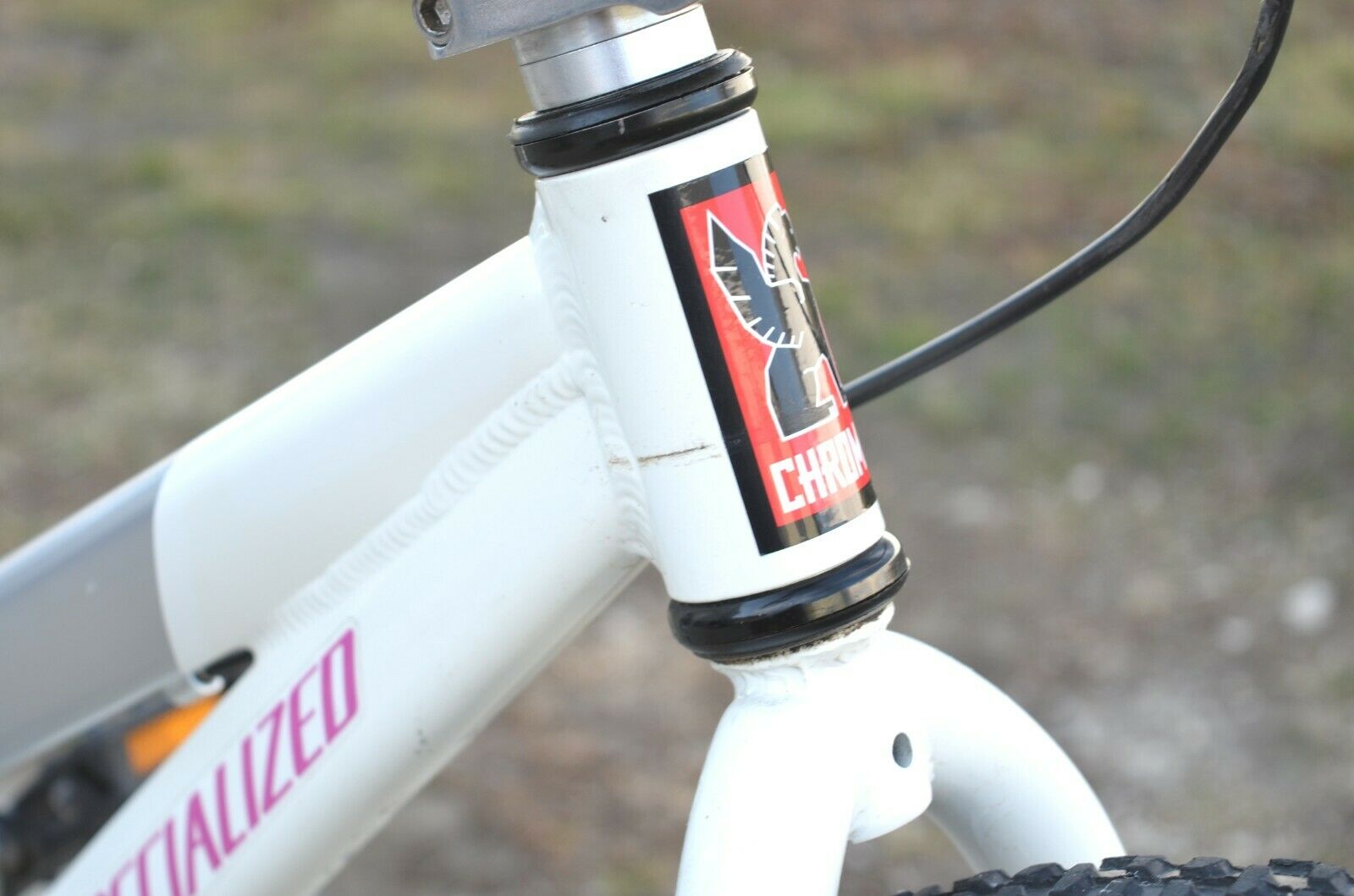 SPECIALIZED Riprock Coaster 16 Kids Bicycle (White / Gray) - Fresh Stock Dated February 2026