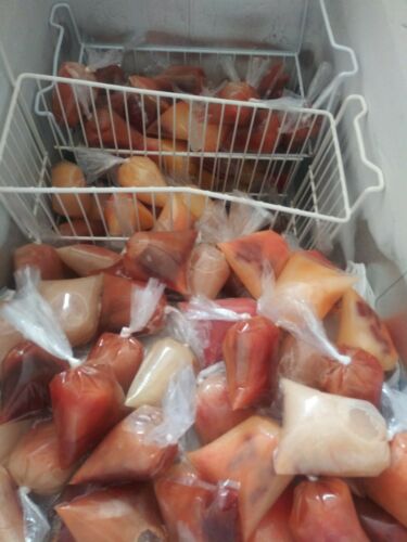 650 BOLSAS para HELADOS Bolis 8×26 Saborines bolsitas para hielitos plastic bags - Fresh Stock Dated December 2025