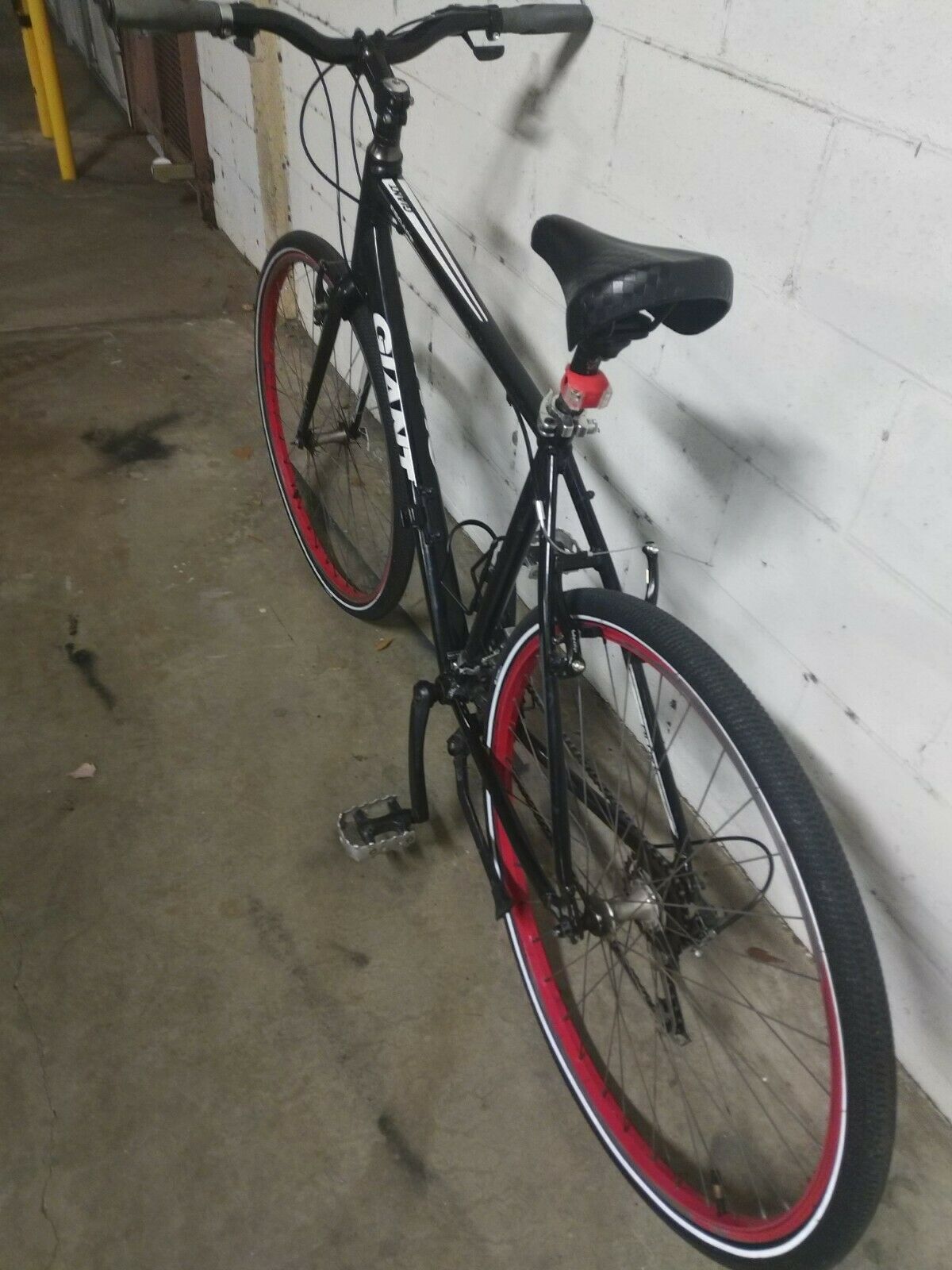 Giant Escape (Local Pick-up Only) - Fresh Stock Dated February 2026