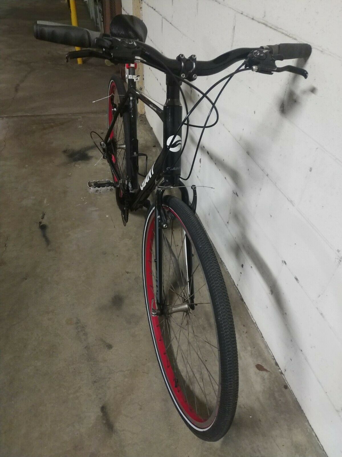 Giant Escape (Local Pick-up Only) - Fresh Stock Dated February 2026