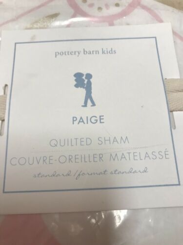 Pottery Barn Kids Metallic Paige Quilted Sham - Fresh Stock Dated December 2025
