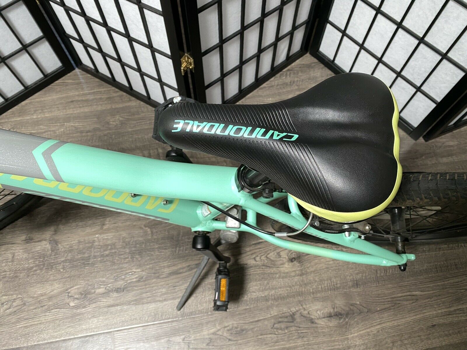 Cannondale Kids Trail 20 6 Speed Girls Bike (excellent condition) - Fresh Stock Dated February 2026