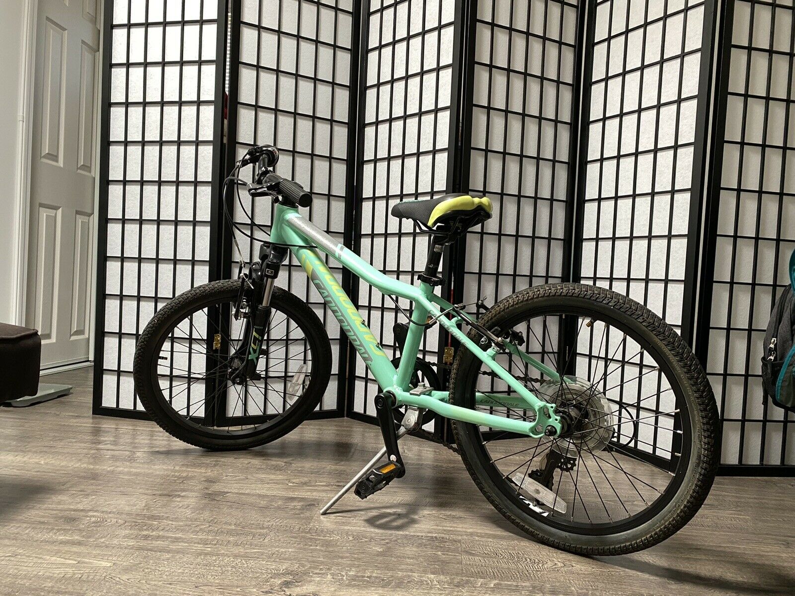 Cannondale Kids Trail 20 6 Speed Girls Bike (excellent condition) - Fresh Stock Dated February 2026