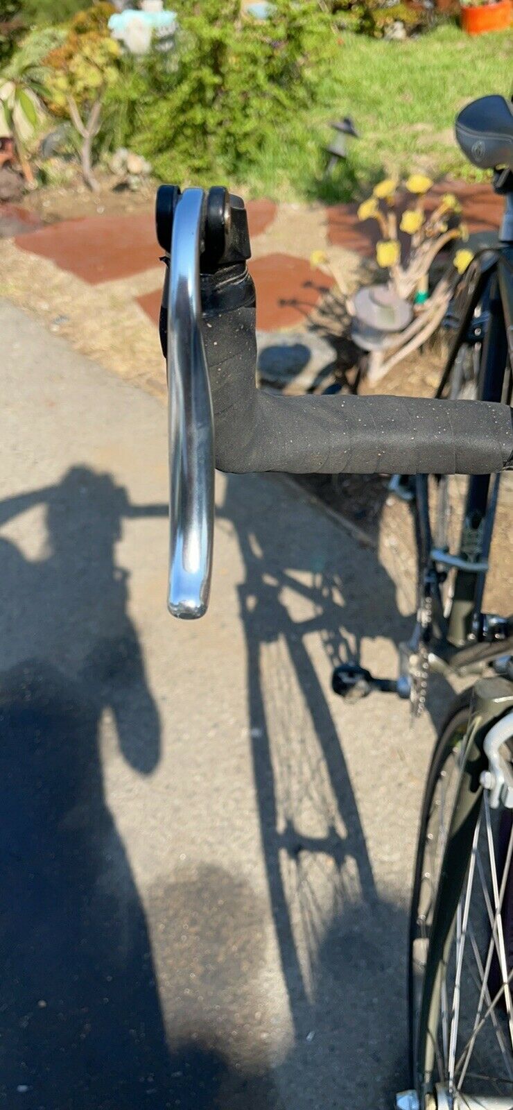 Schwinn Bike Wheel Men - Fresh Stock Dated February 2026