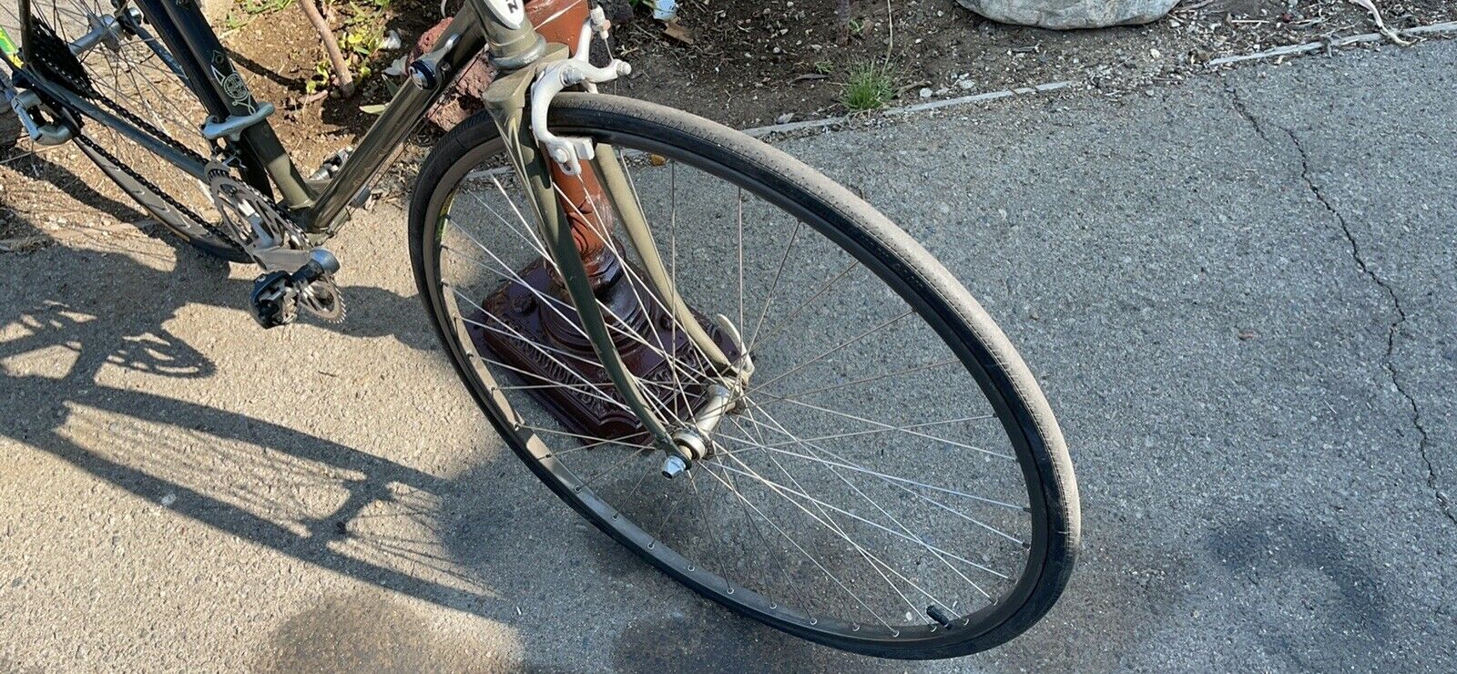 Schwinn Bike Wheel Men - Fresh Stock Dated February 2026