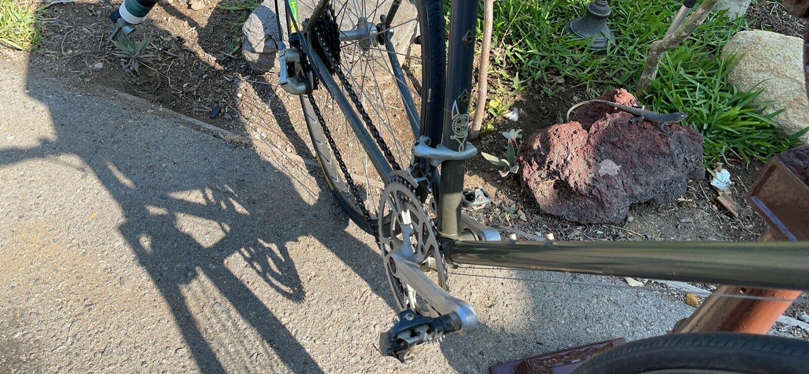 Schwinn Bike Wheel Men - Fresh Stock Dated February 2026