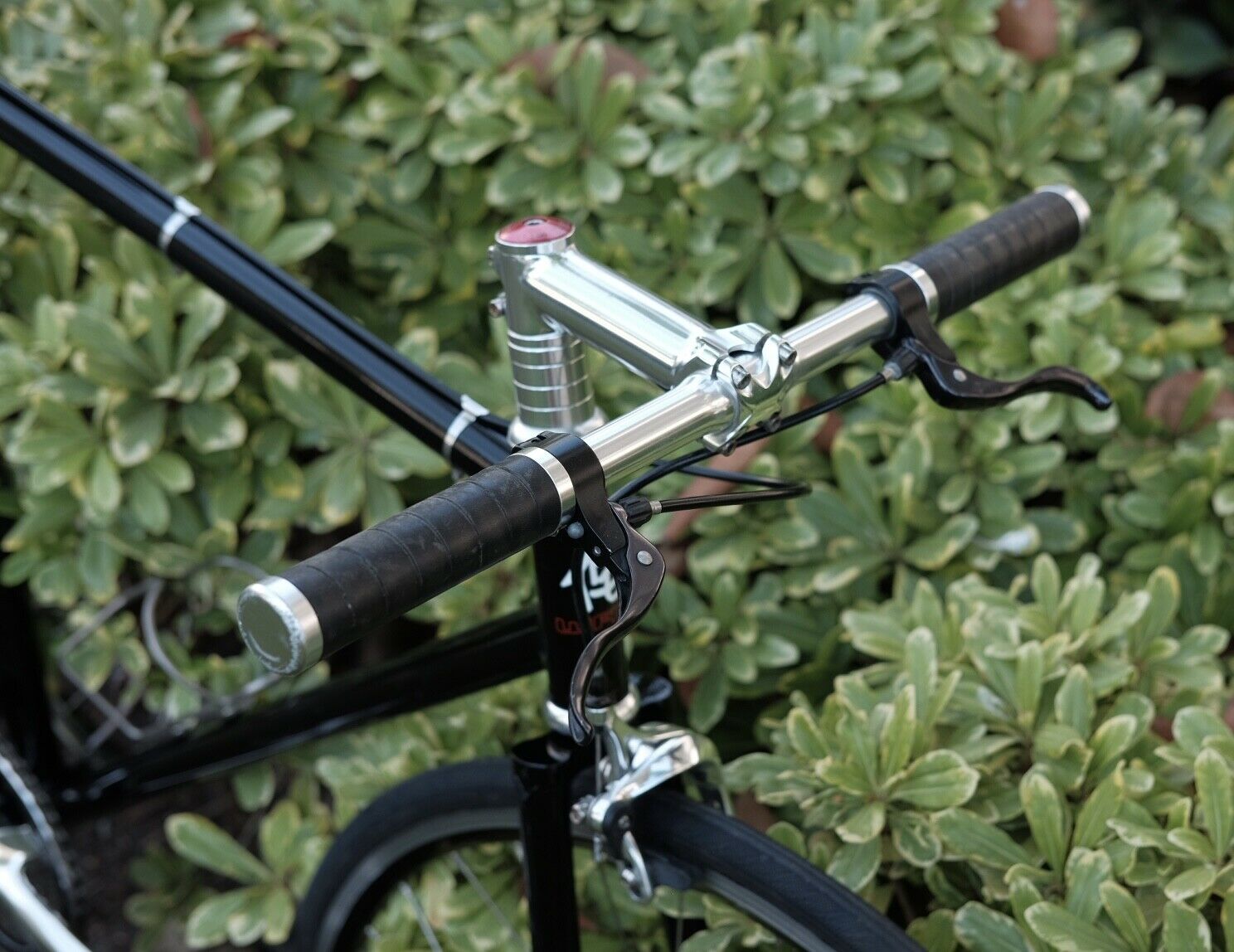 Wabi Classic Lightweight Chromoly Single Speed Fixed Gear bicycle, 52cm, used - Fresh Stock Dated February 2026