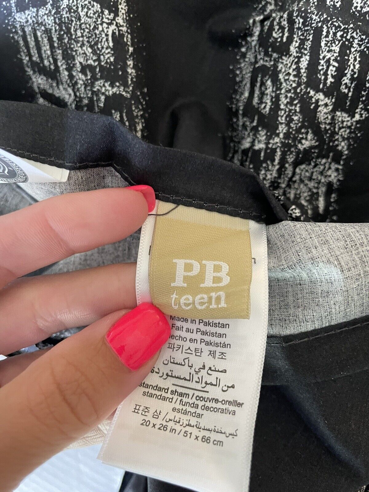 Pottery Barn Teen NHL Shaved Ice Standard Sham NWOT - Fresh Stock Dated February 2026