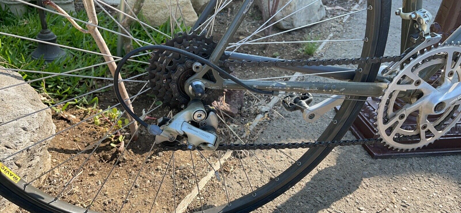 Schwinn Bike Wheel Men - Fresh Stock Dated February 2026