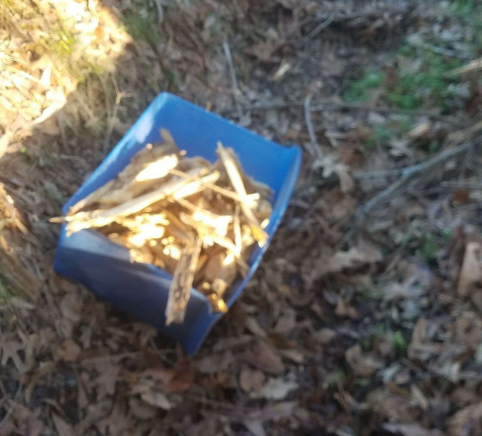 Pine Lighter Fat Lighter Fatwood Lighter Wood Kindling Fire High Resin - Fresh Stock Dated December 2025