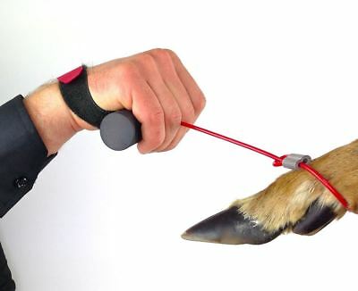 Buck Cuffs Orange Hunting Season Deer Drag Outdoors Easy Grip Hooves - Fresh Stock Dated December 2025